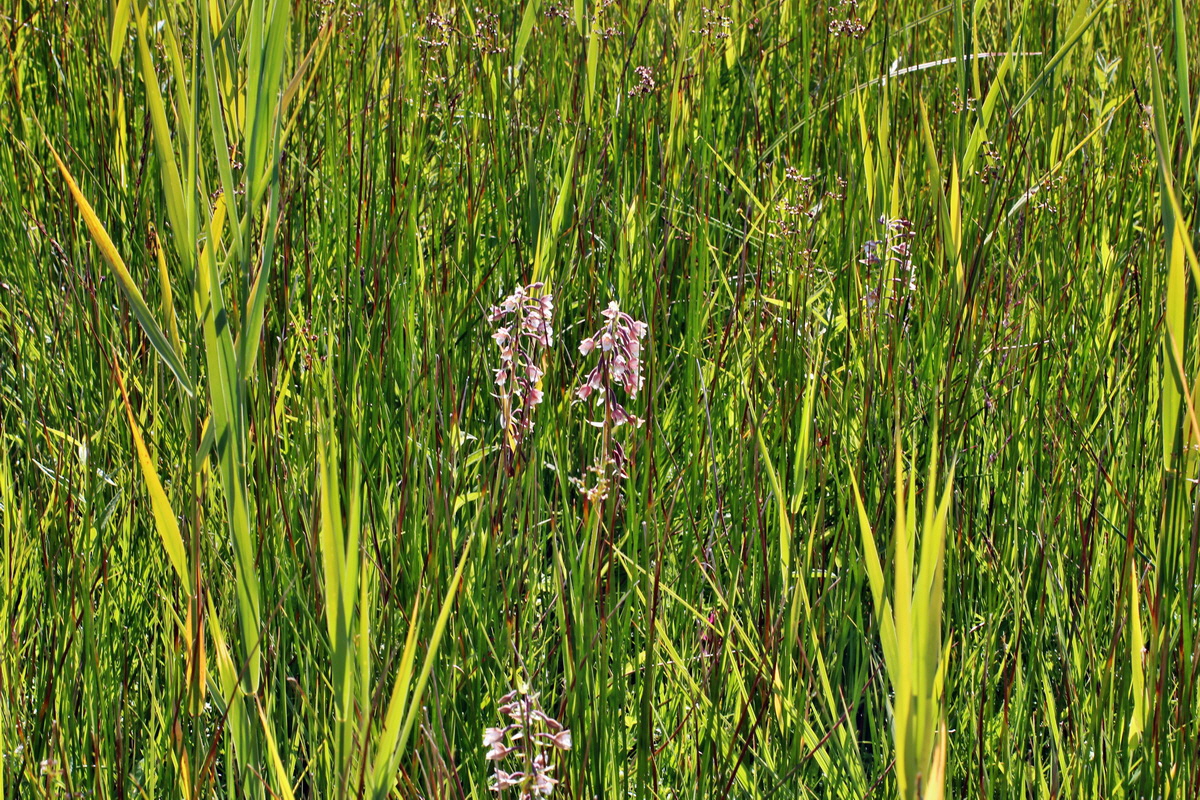 2014_07_02_00047741p_Bildgr��e �ndern