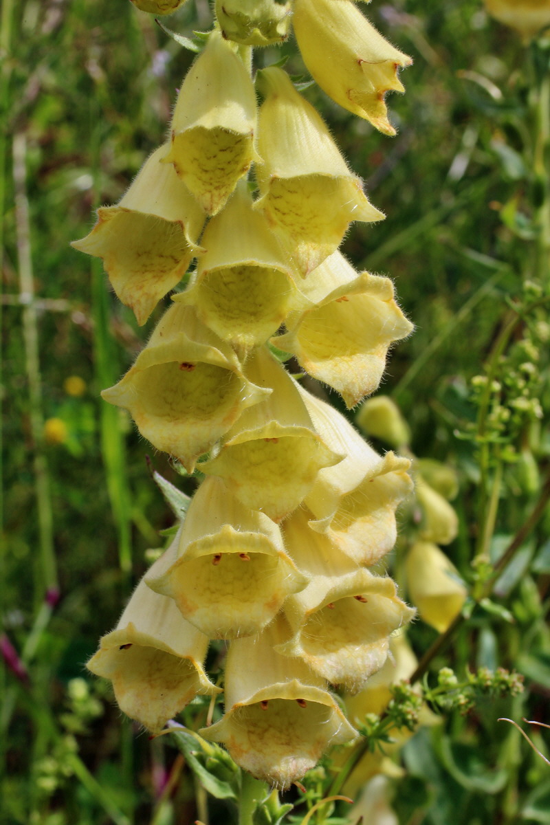 2014_07_02_00047766p_Bildgr��e �ndern