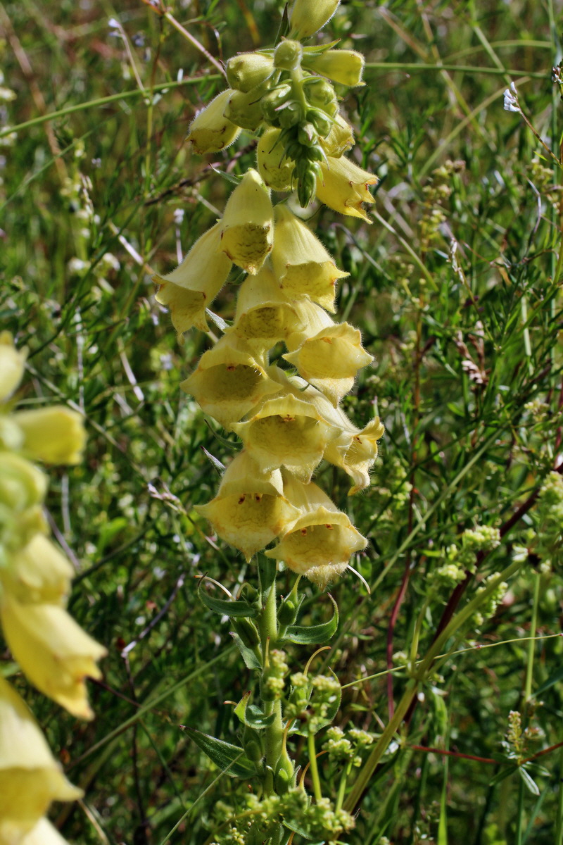 2014_07_02_00047769p_Bildgr��e �ndern