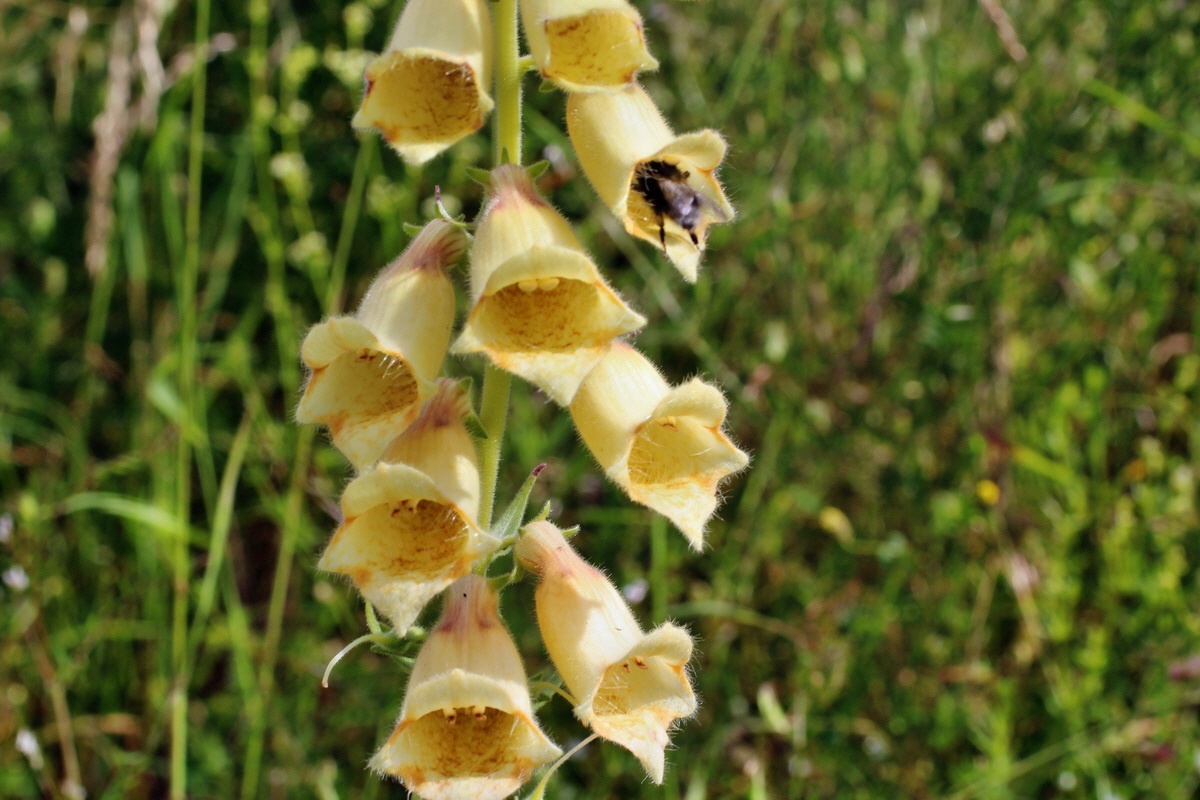 2014_07_02_00047780p_Bildgr��e �ndern