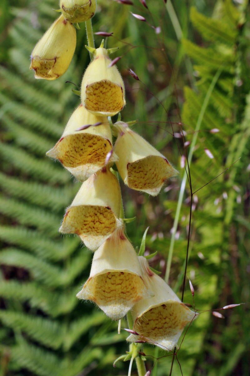 2014_07_02_00047785p_Bildgr��e �ndern