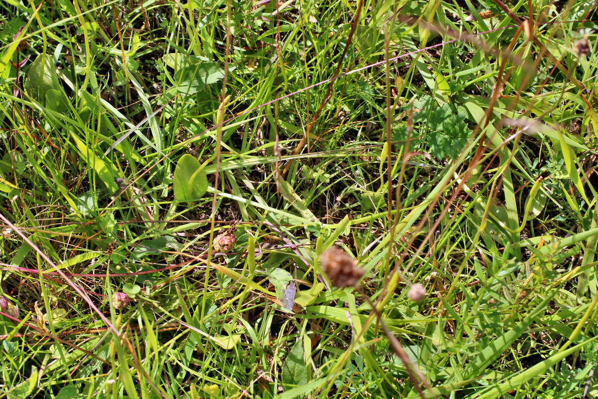 2014_07_02_00047813p_Bildgr��e �ndern