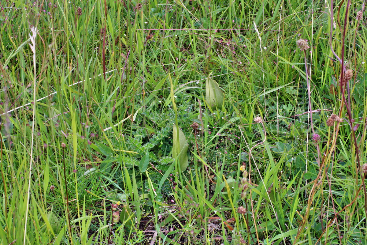 2014_07_02_00047820p_Bildgr��e �ndern