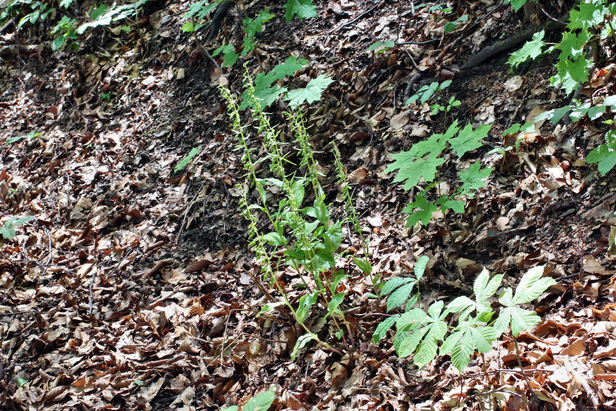 2014_07_02_00047833p_Bildgr��e �ndern