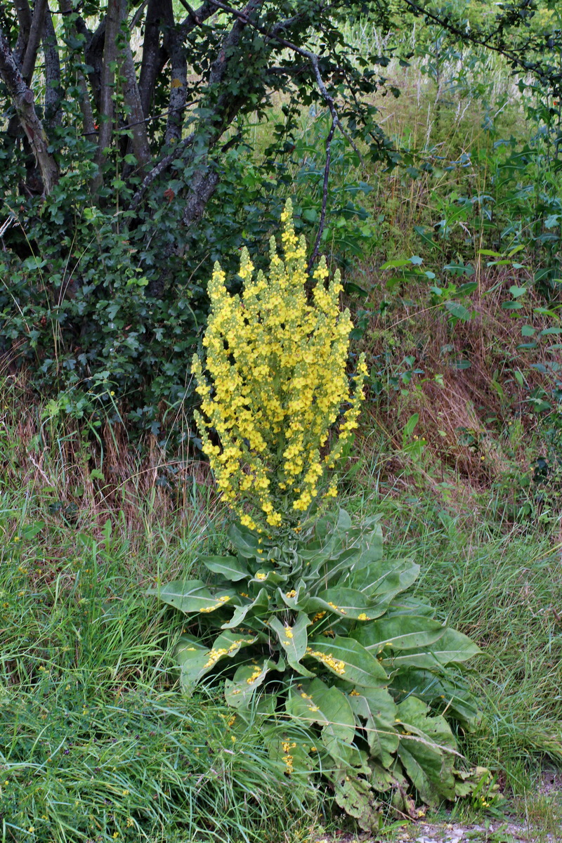 2014_07_02_00047838p_Bildgr��e �ndern