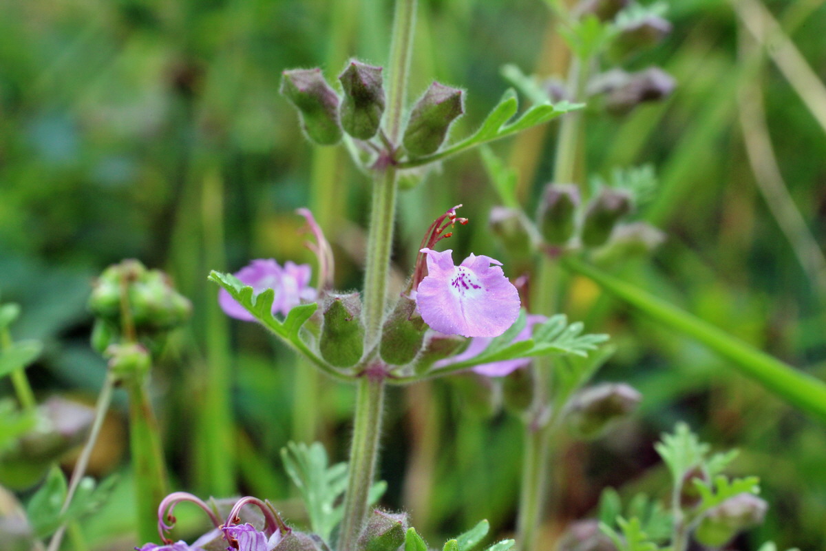 2014_07_02_00047844p_Bildgr��e �ndern