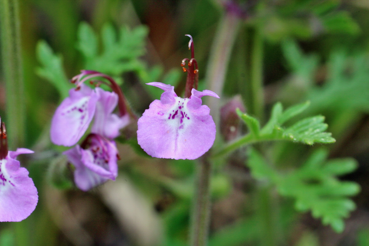 2014_07_02_00047848p_Bildgr��e �ndern