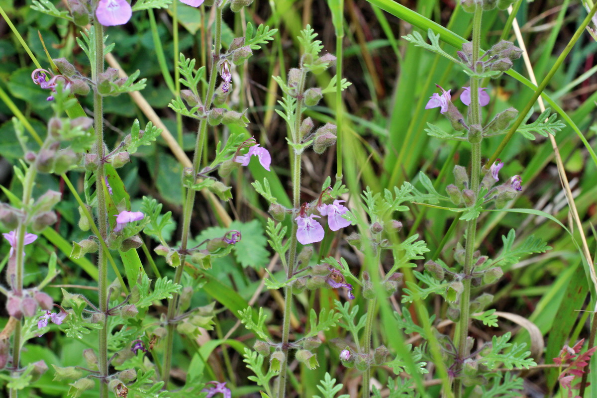 2014_07_02_00047850p_Bildgr��e �ndern