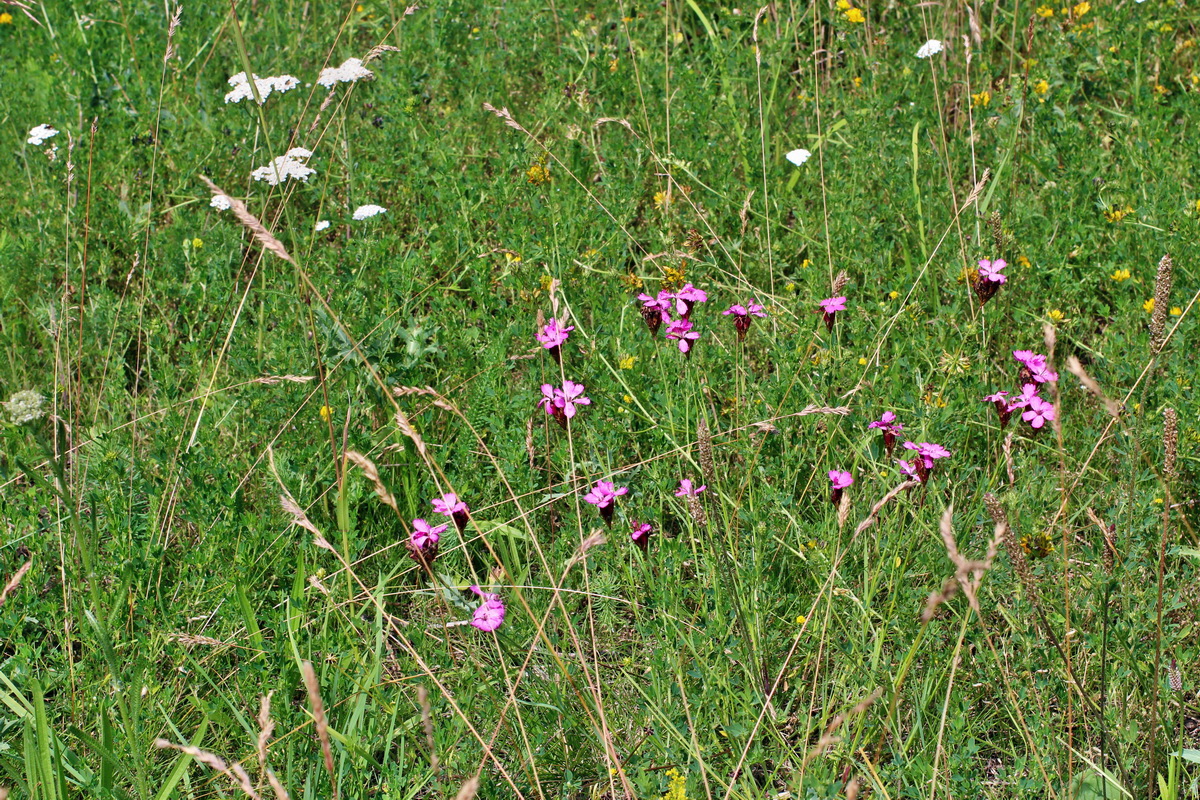 2014_07_02_00047853p_Bildgr��e �ndern