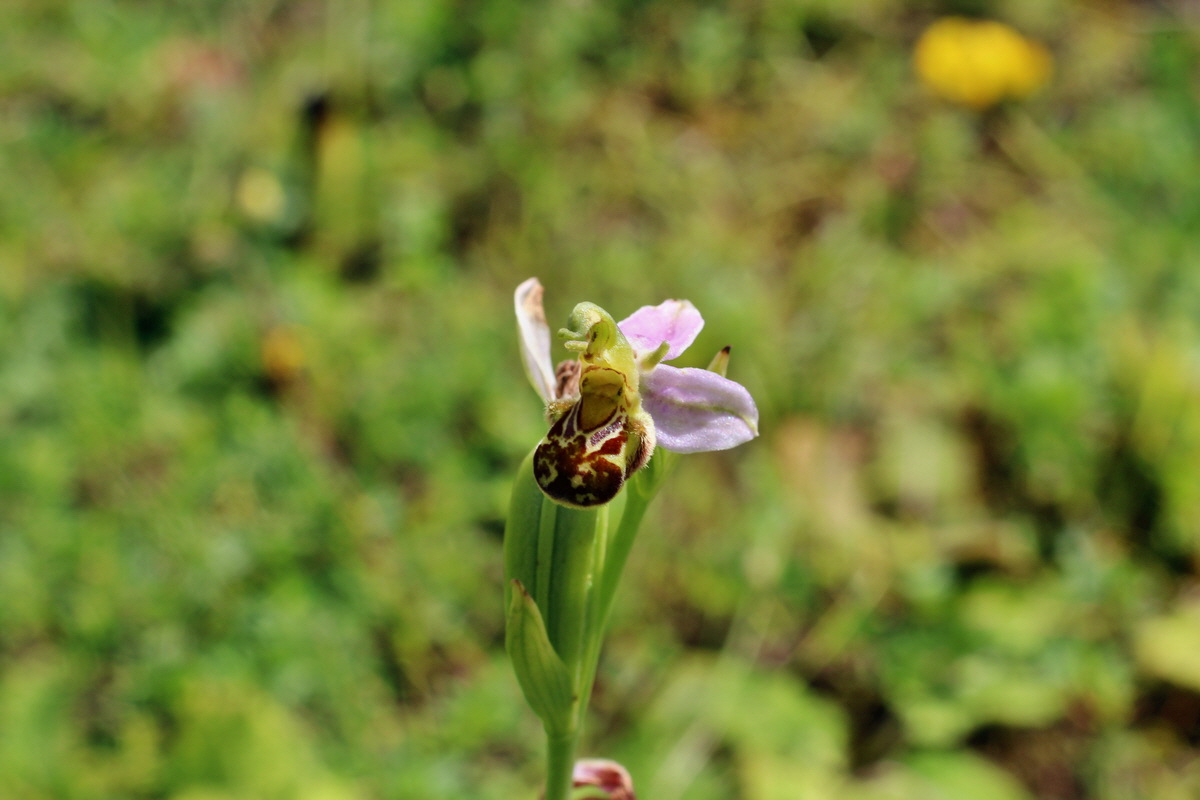 2014_07_02_00047858p_Bildgr��e �ndern