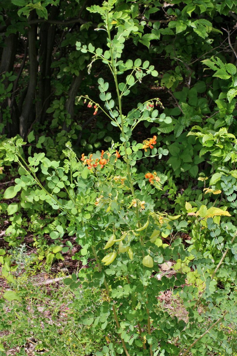 2014_07_02_00047869p_Bildgr��e �ndern