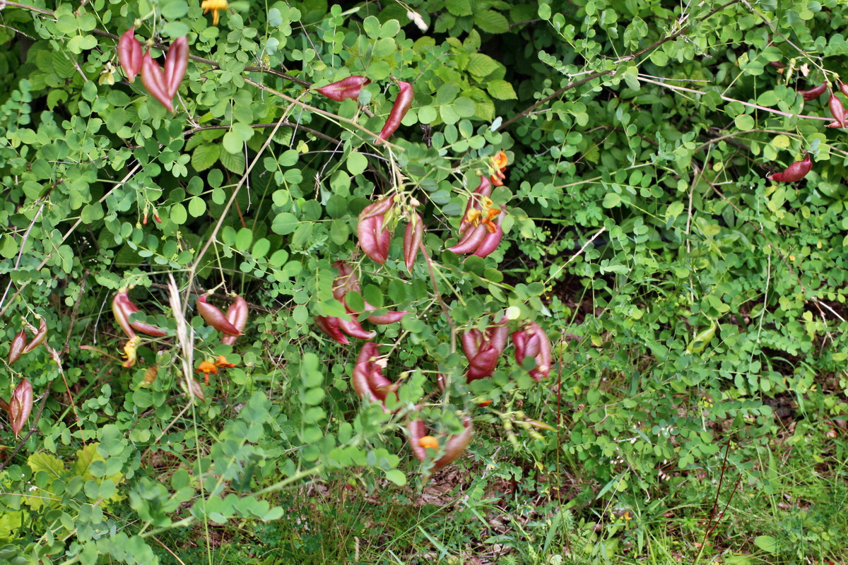 2014_07_02_00047876p_Bildgr��e �ndern