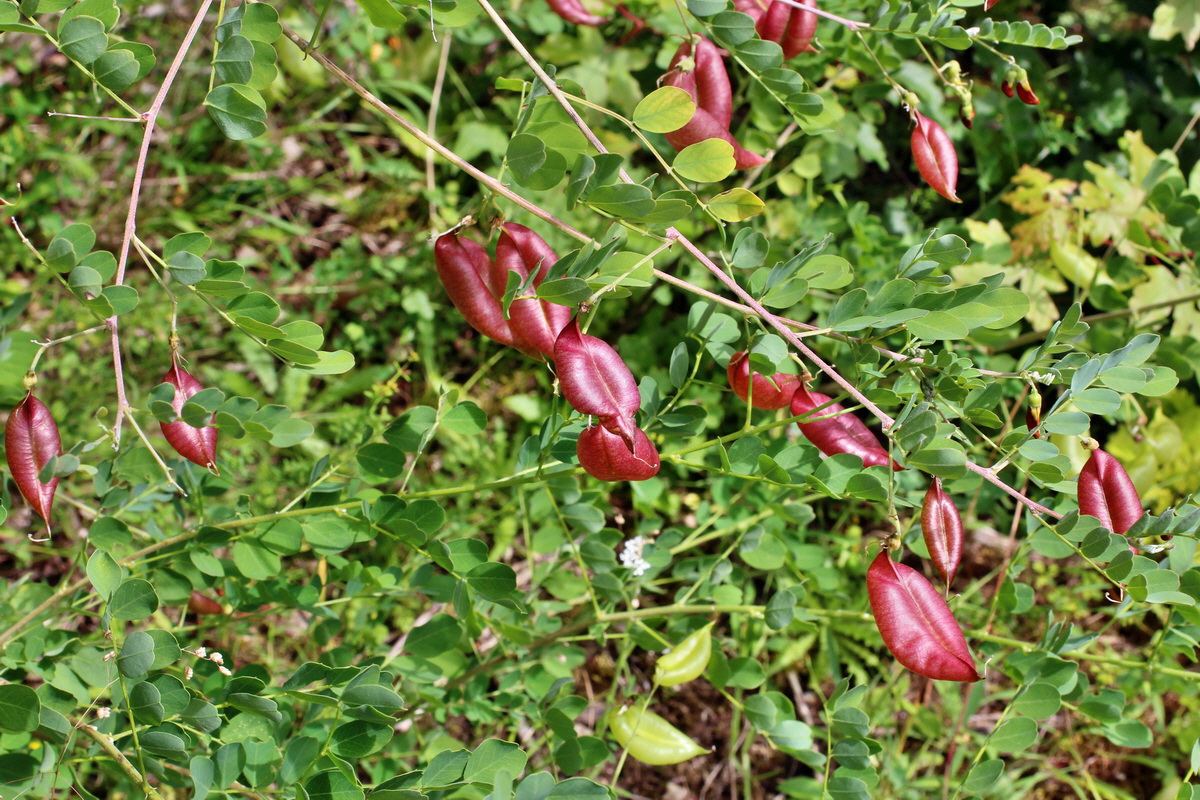 2014_07_02_00047881p_Bildgr��e �ndern