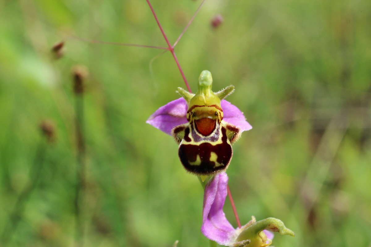 2014_07_02_00047883p_Bildgr��e �ndern