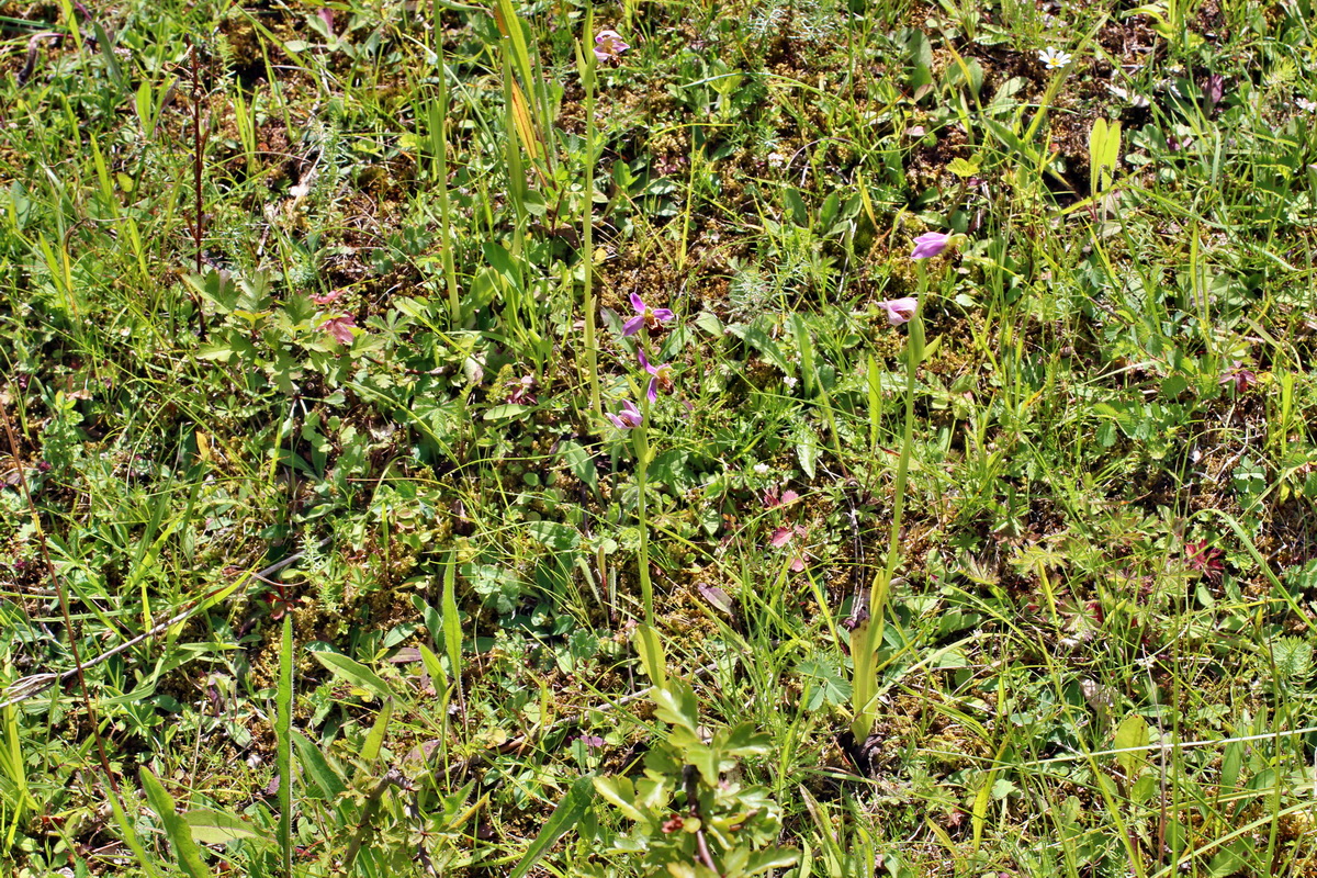 2014_07_02_00047894p_Bildgr��e �ndern