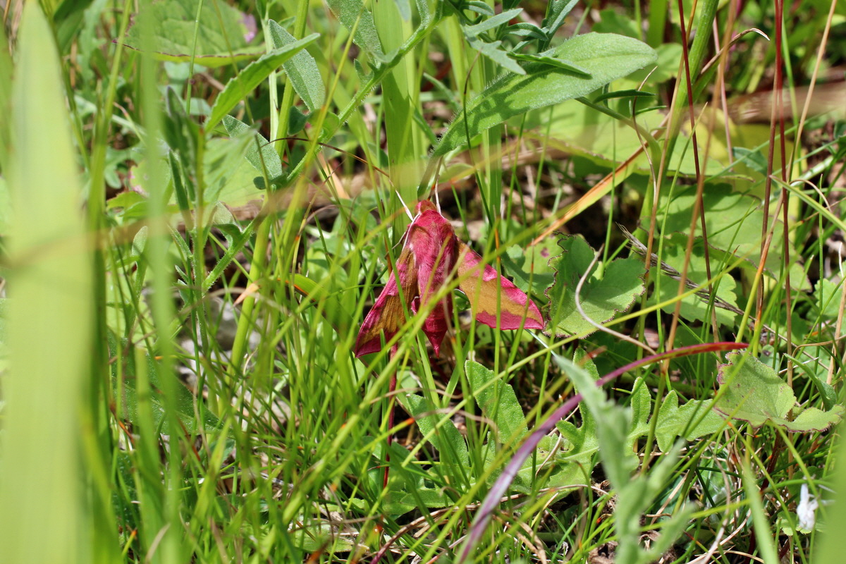 2014_07_02_00047897p_Bildgr��e �ndern