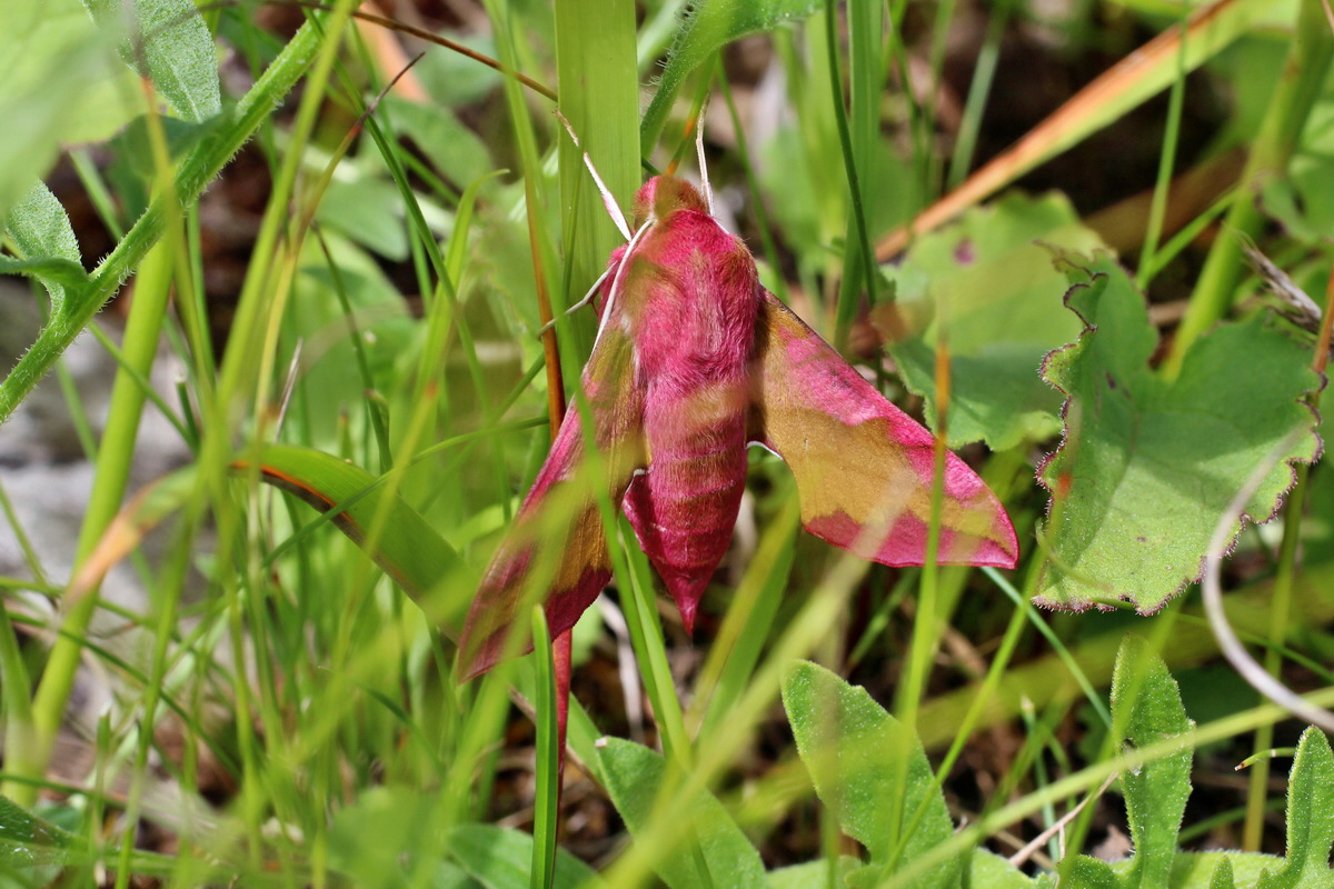 2014_07_02_00047901p_Bildgr��e �ndern