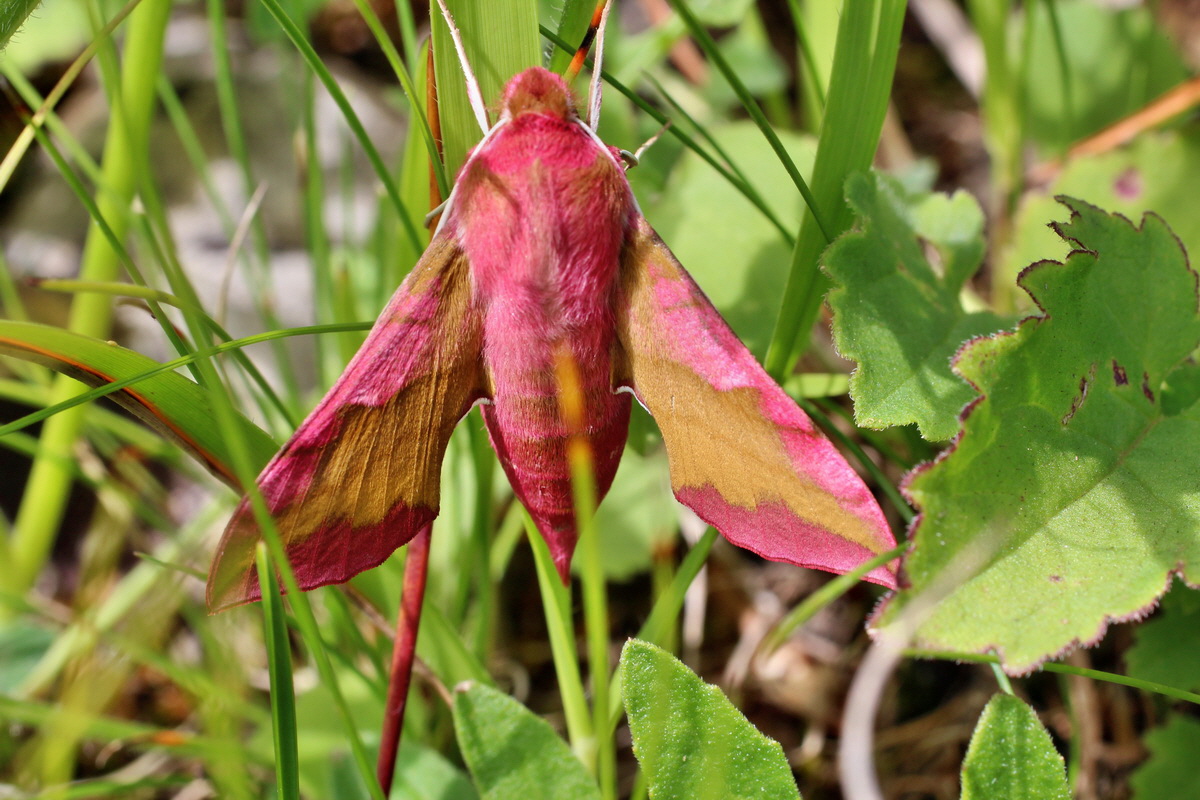 2014_07_02_00047906p_Bildgr��e �ndern