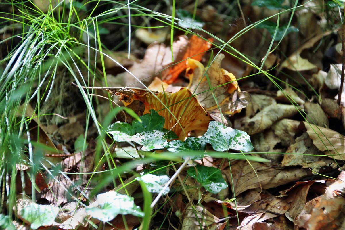 2014_07_14_00048034p_Bildgr��e �ndern