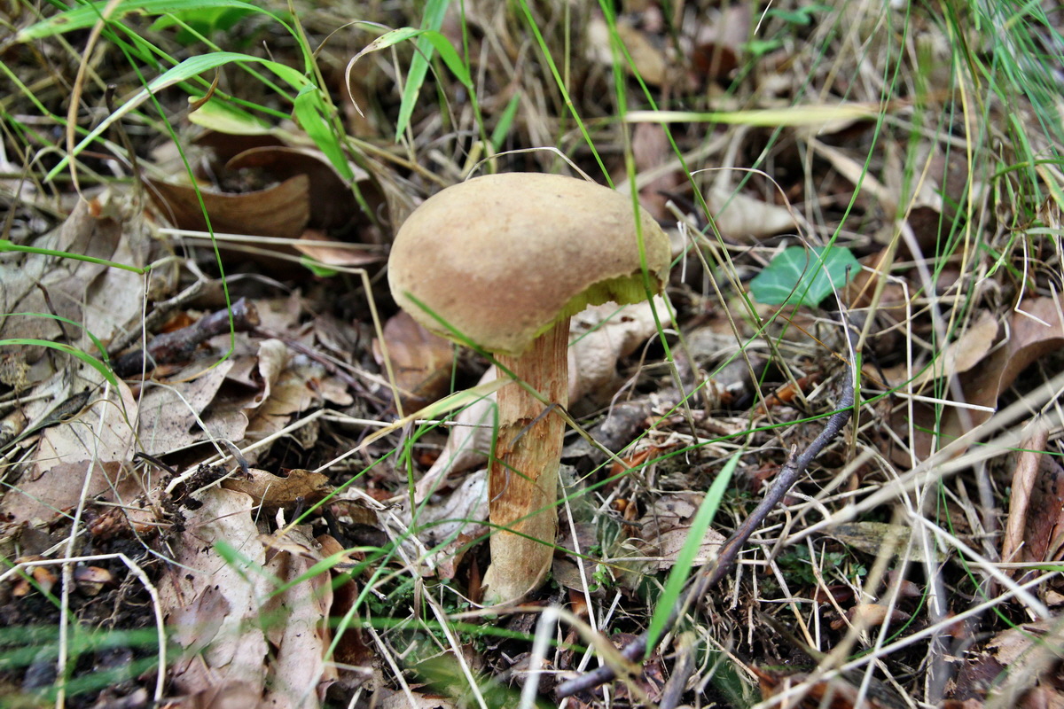 2014_07_14_00048039p_Bildgr��e �ndern