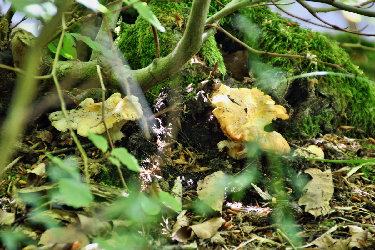 2014_07_14_00048050p_Bildgr��e �ndern