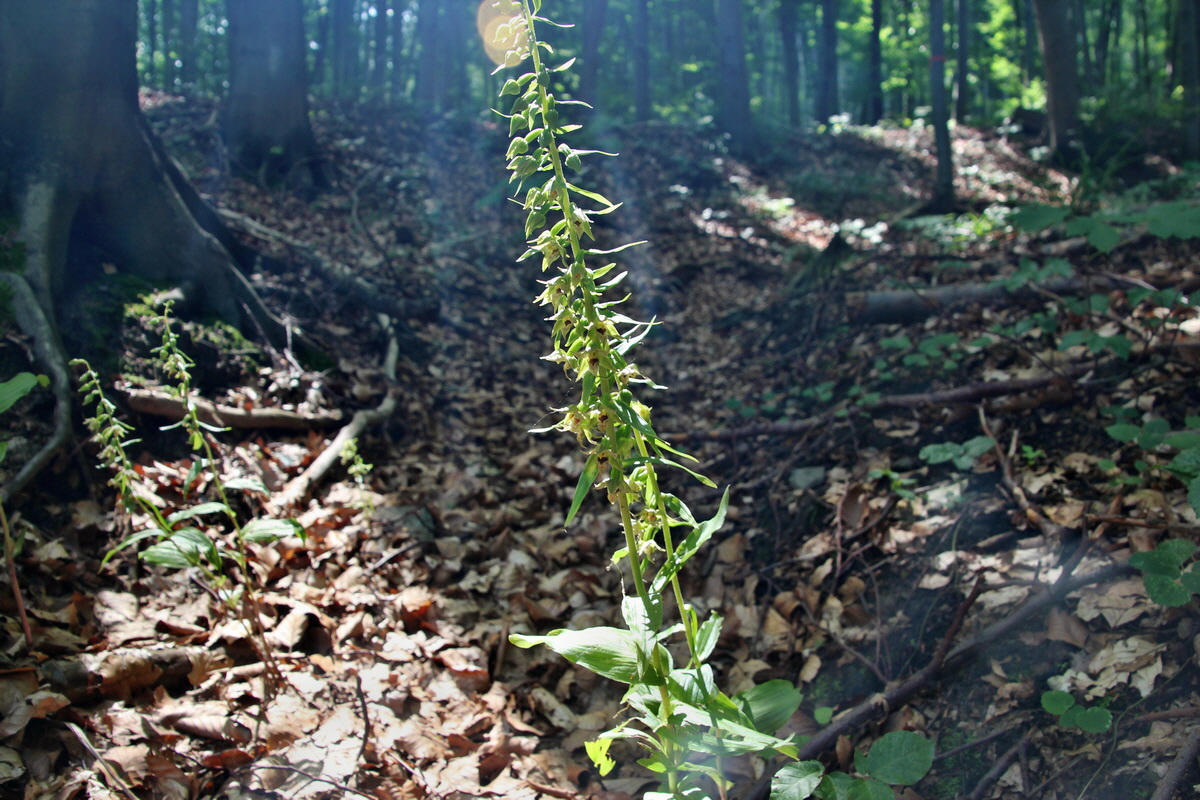 2014_07_14_00048068p_Bildgr��e �ndern