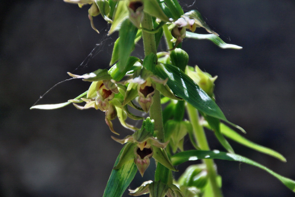 2014_07_14_00048072p_Bildgr��e �ndern