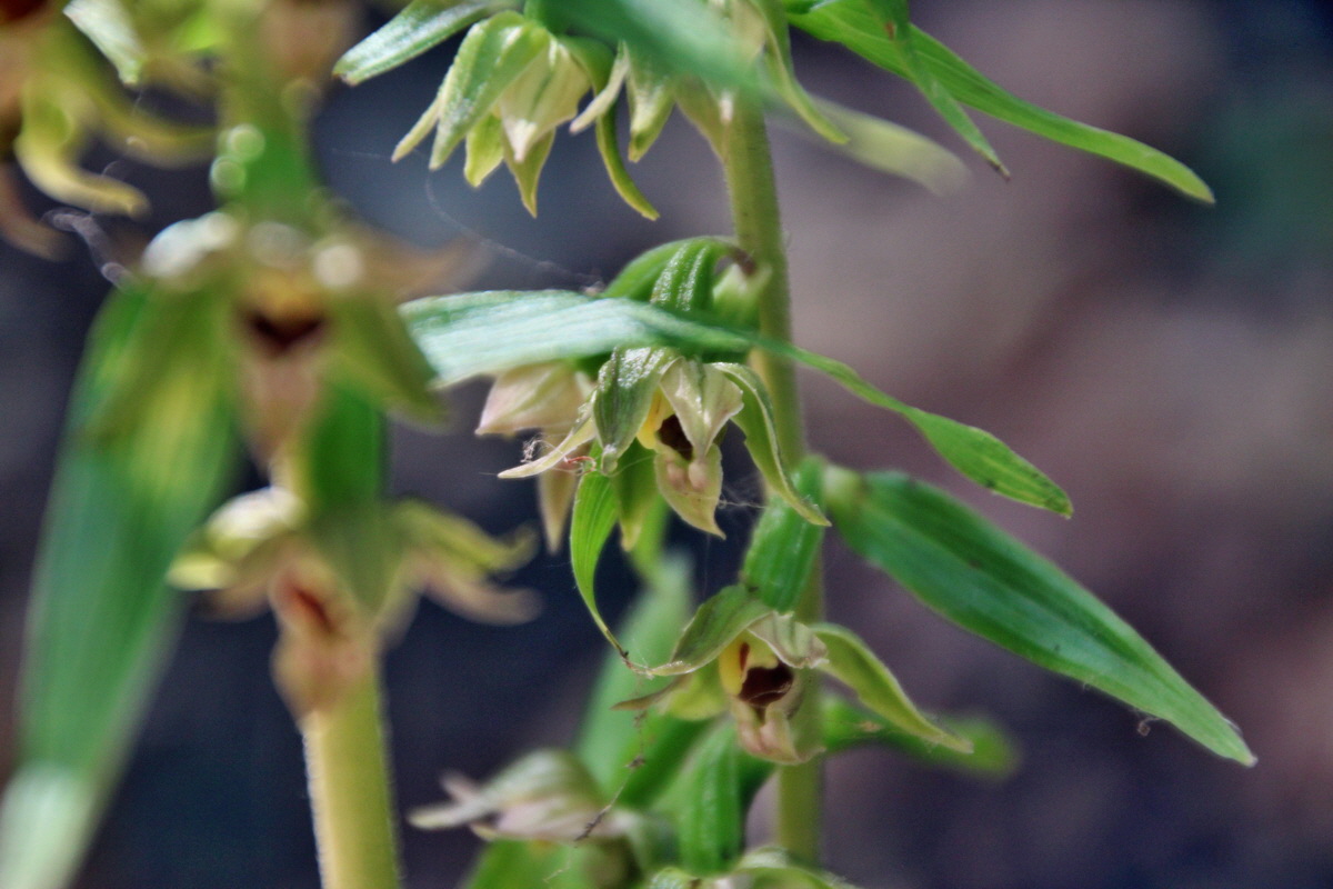 2014_07_14_00048078p_Bildgr��e �ndern