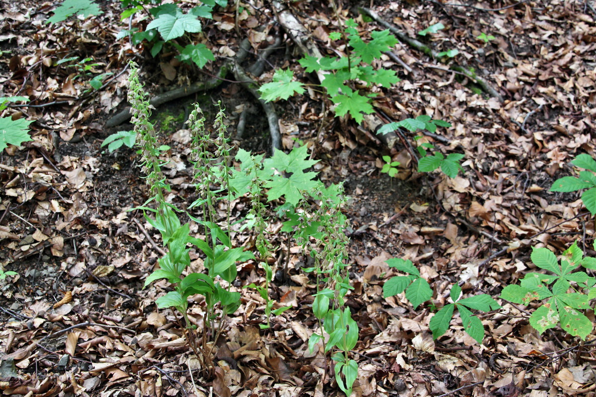 2014_07_14_00048082p_Bildgr��e �ndern