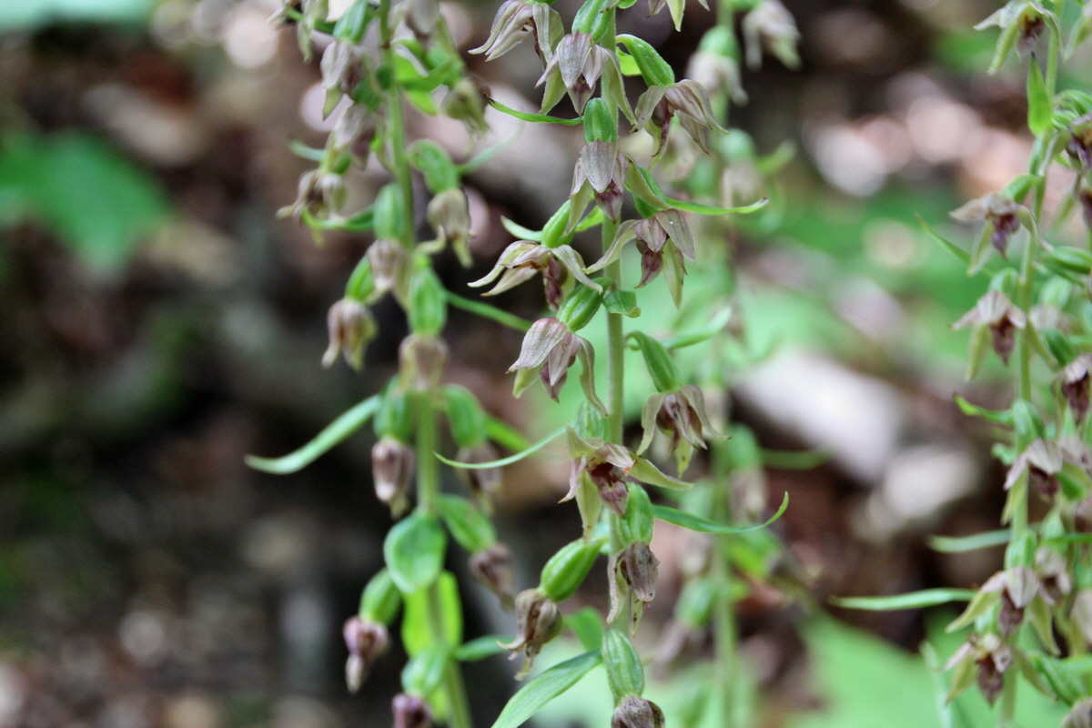 2014_07_14_00048089p_Bildgr��e �ndern