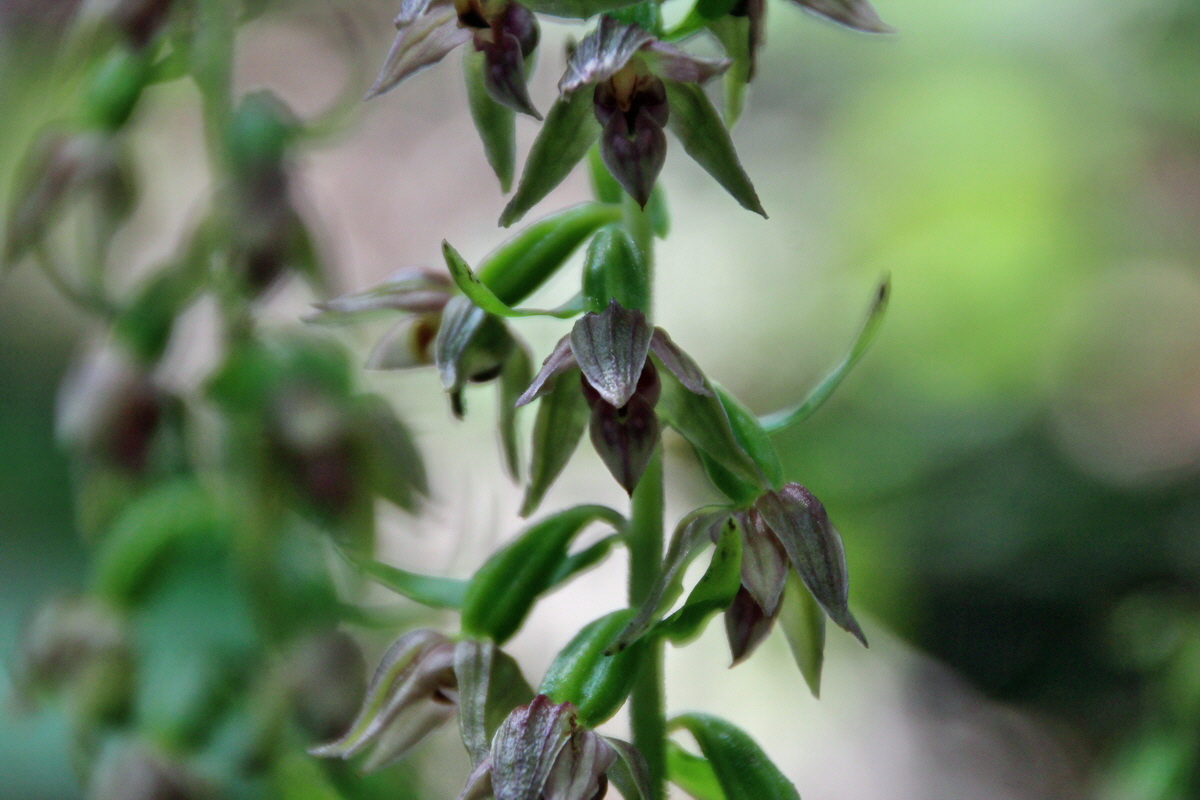 2014_07_14_00048093p_Bildgr��e �ndern