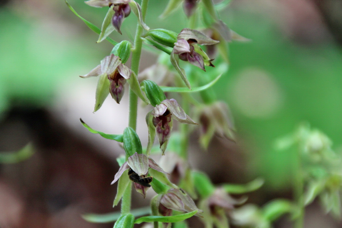 2014_07_14_00048098p_Bildgr��e �ndern