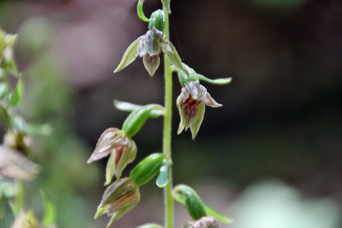 2014_07_14_00048113p_Bildgr��e �ndern