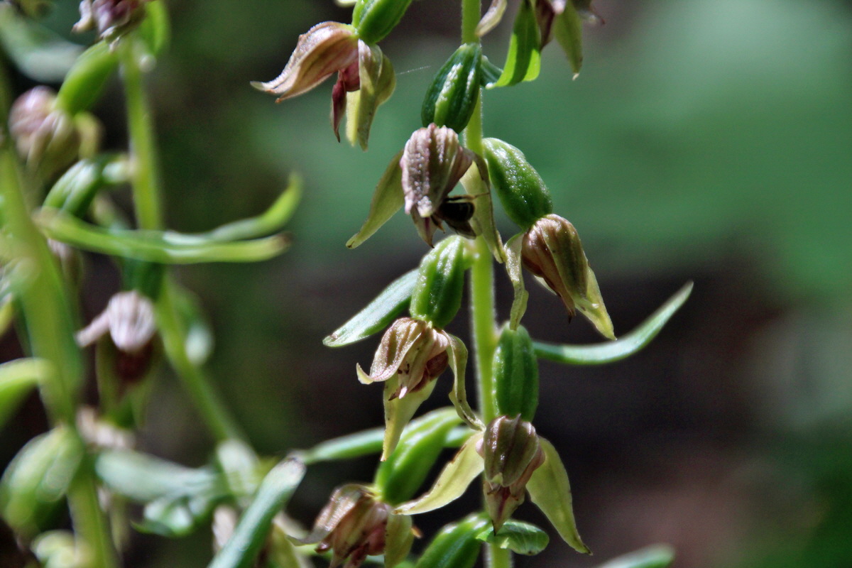 2014_07_14_00048116p_Bildgr��e �ndern