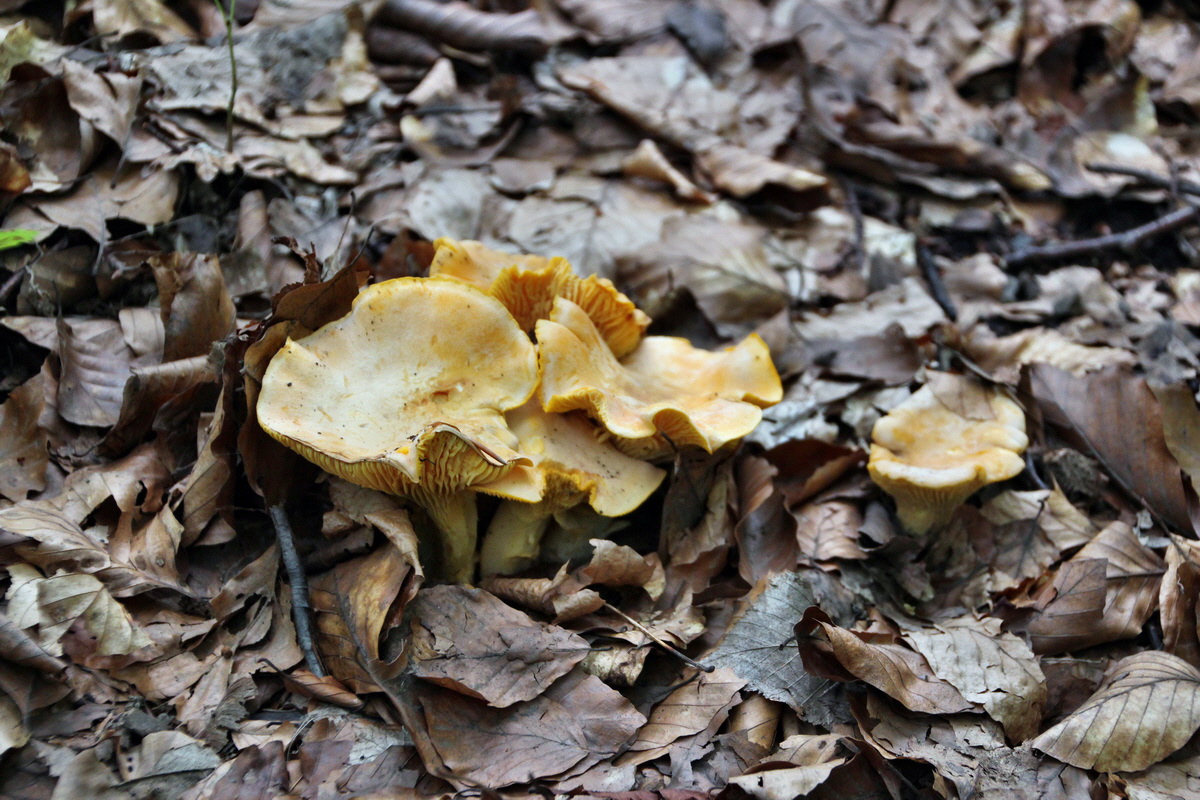 2014_07_14_00048120p_Bildgr��e �ndern