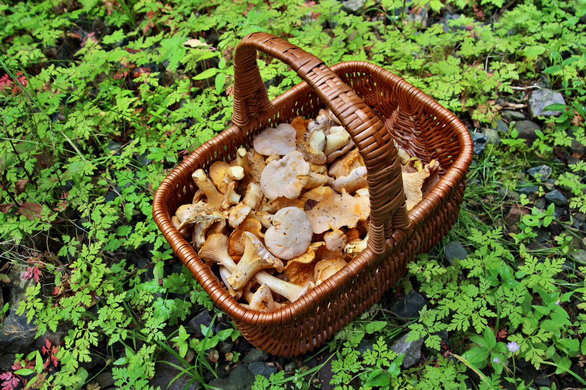 2014_07_14_00048142p_Bildgr��e �ndern