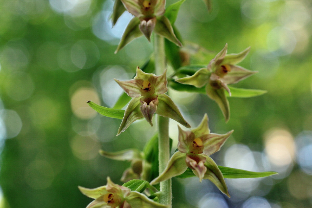 2014_07_15_00048146p_Bildgr��e �ndern