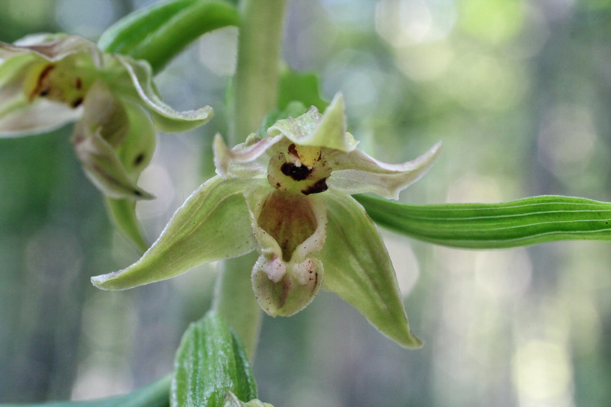 2014_07_15_00048150p_Bildgr��e �ndern