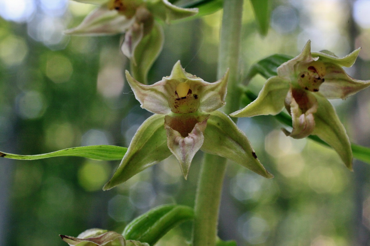 2014_07_15_00048158p_Bildgr��e �ndern