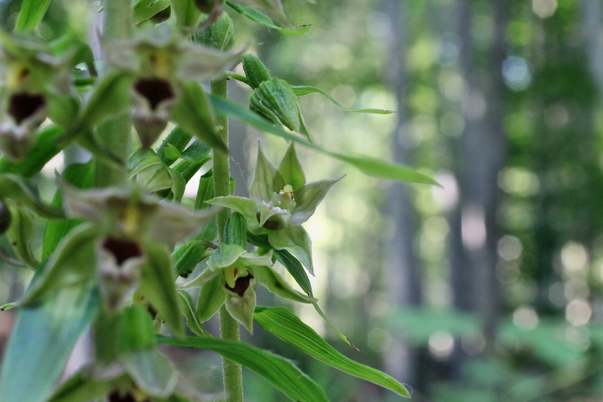 2014_07_15_00048163p_Bildgr��e �ndern