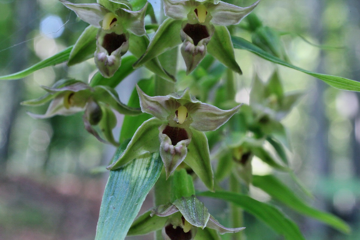 2014_07_15_00048168p_Bildgr��e �ndern