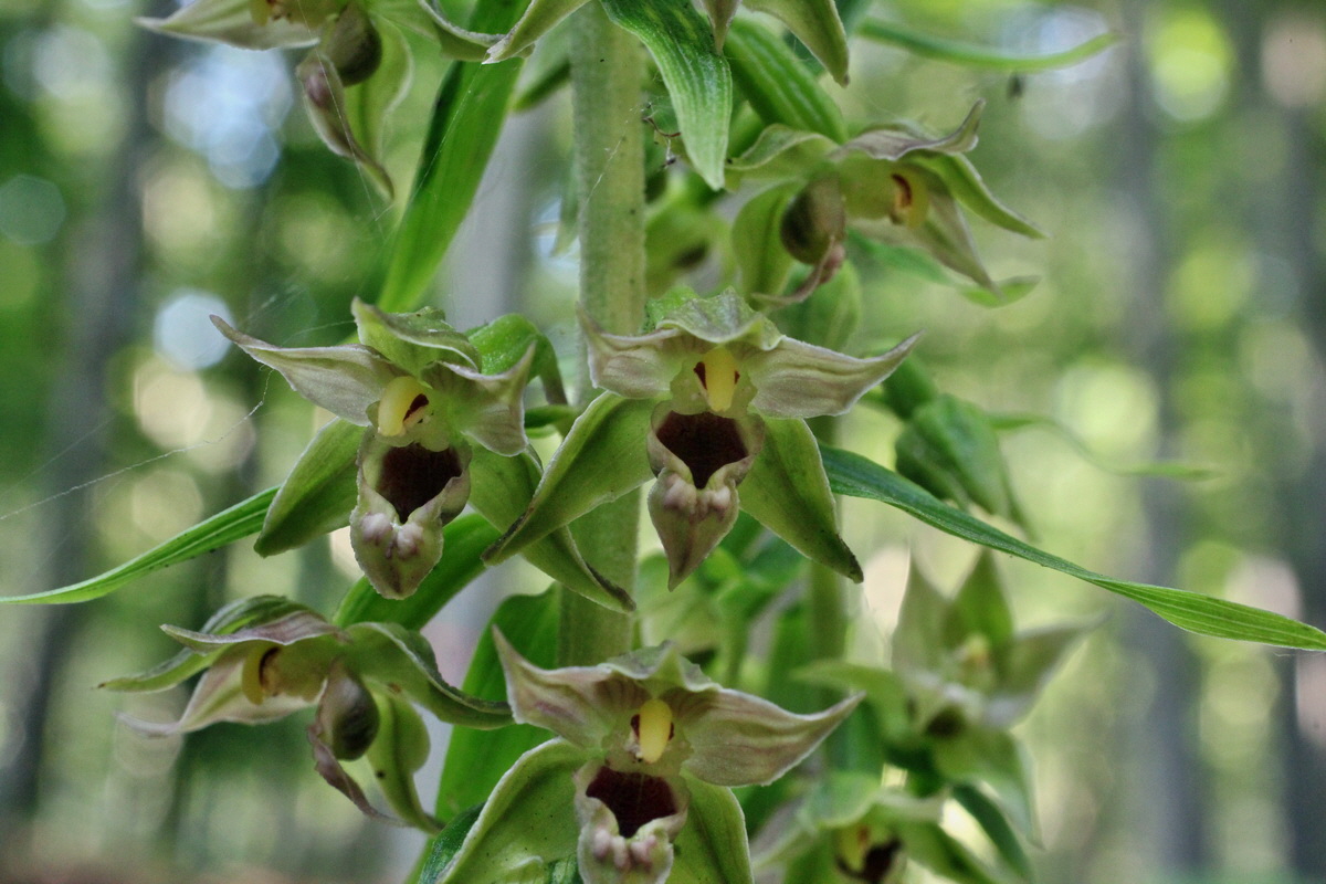 2014_07_15_00048171p_Bildgr��e �ndern