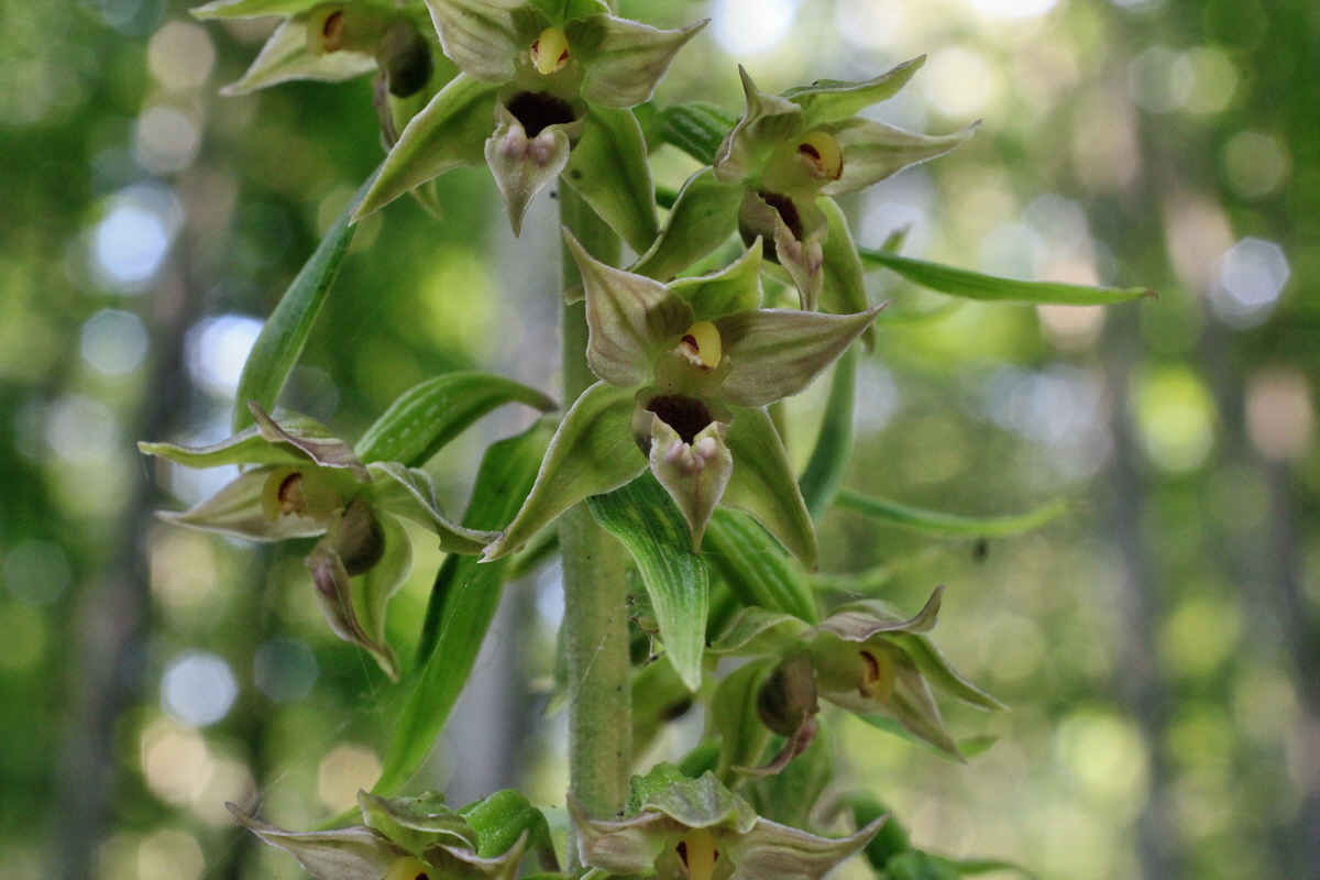 2014_07_15_00048176p_Bildgr��e �ndern