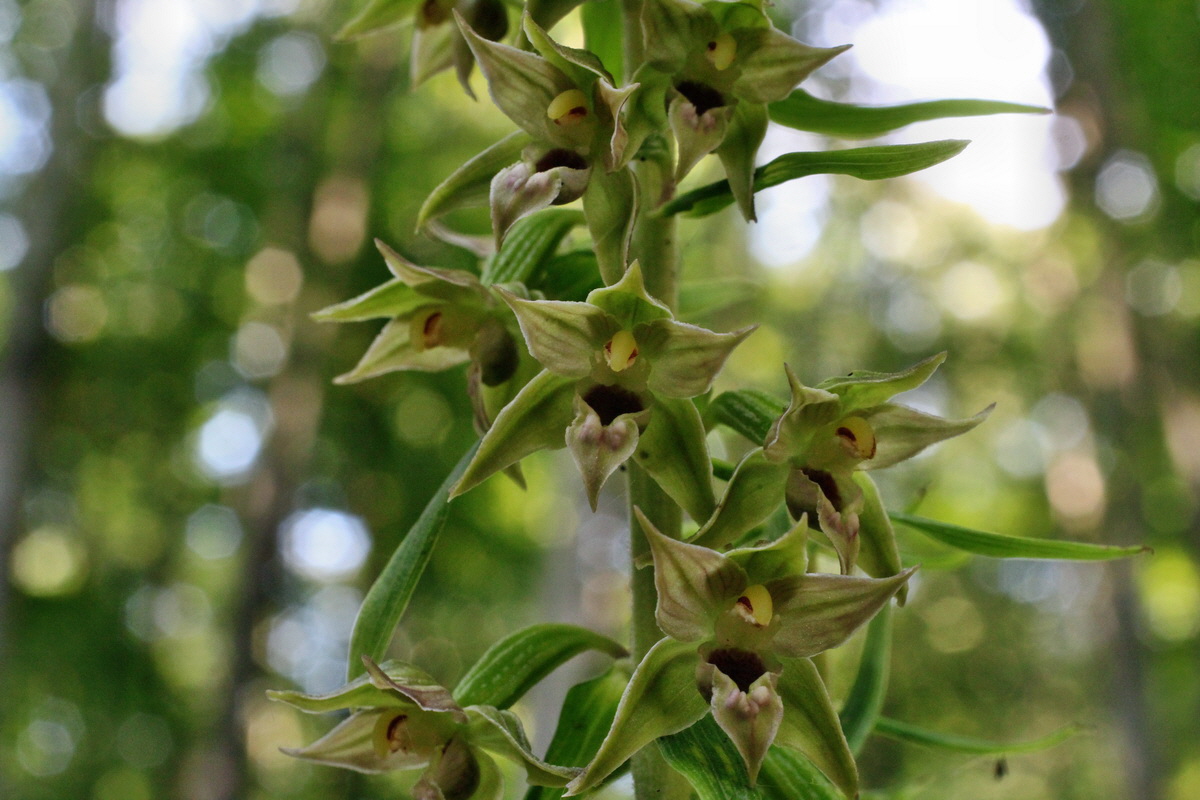 2014_07_15_00048181p_Bildgr��e �ndern