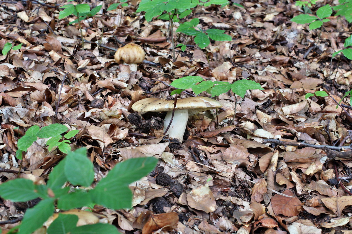 2014_07_15_00048216p_Bildgr��e �ndern