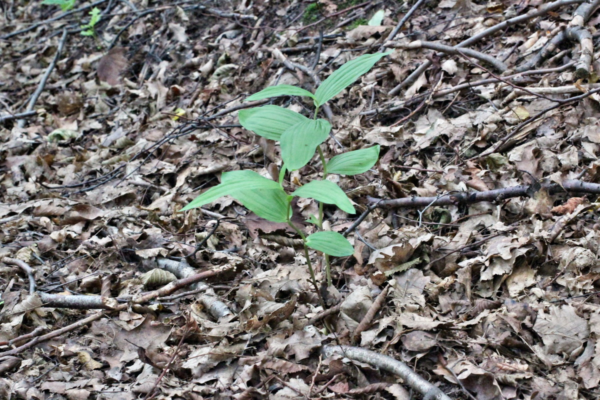 2014_07_15_00048224p_Bildgr��e �ndern