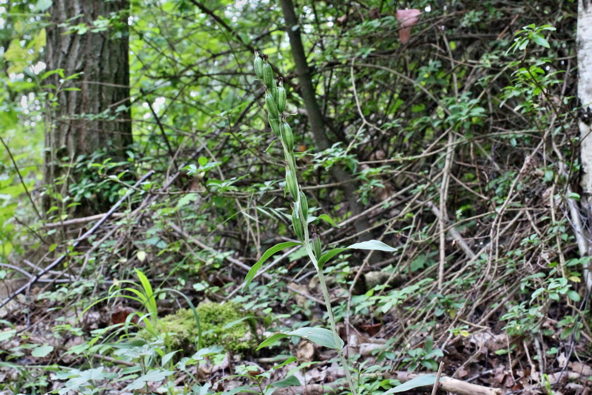 2014_07_15_00048226p_Bildgr��e �ndern