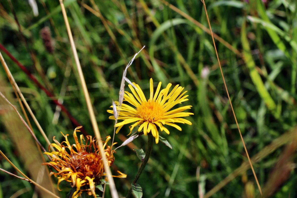 2014_07_15_00048238p_Bildgr��e �ndern