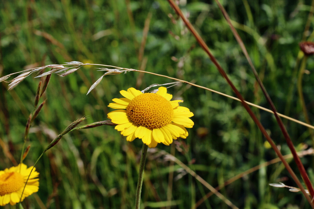 2014_07_15_00048241p_Bildgr��e �ndern