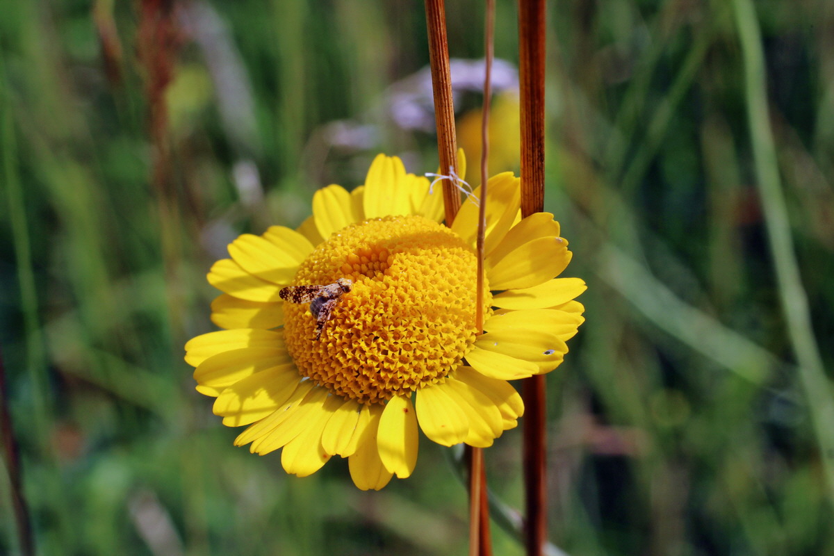 2014_07_15_00048244p_Bildgr��e �ndern